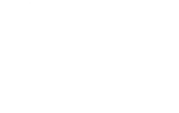 Incube Academy